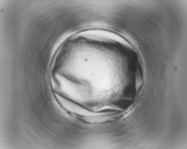 X0000054461392200508191651