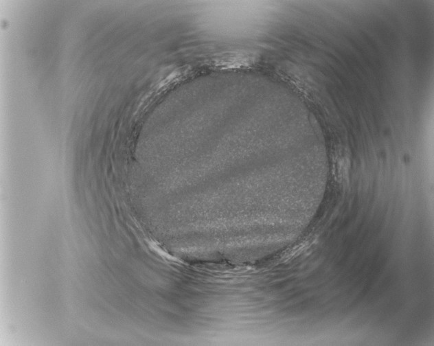 X0000054461393200508191650