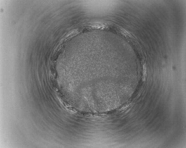 X0000054461394200508191650