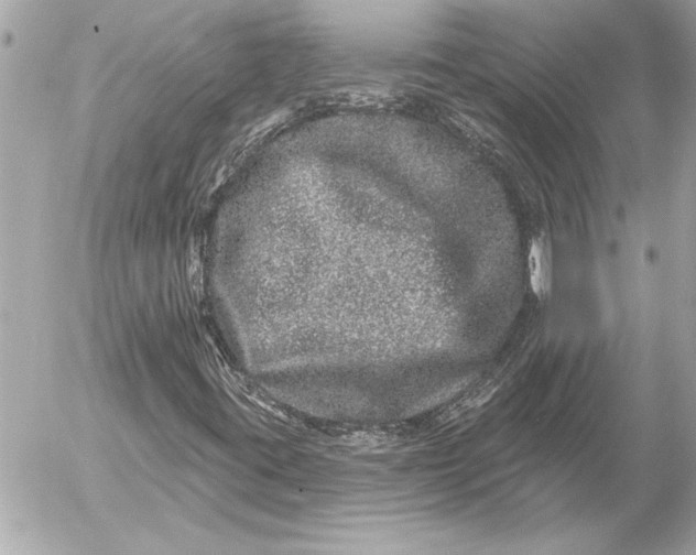 X0000054461395200508191650