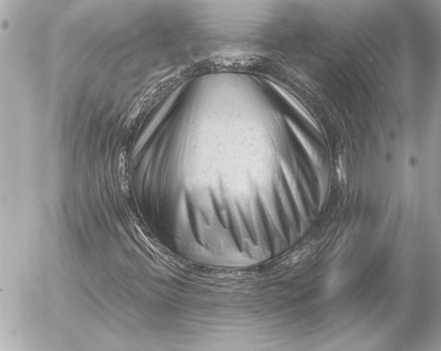 X0000054461396200508191650