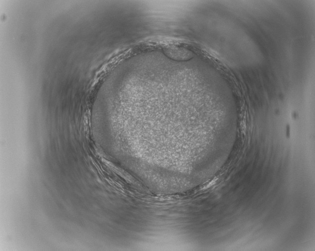 X0000054461397200508191650