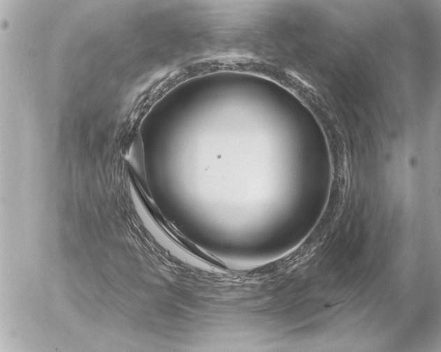 X0000054461398200508191650