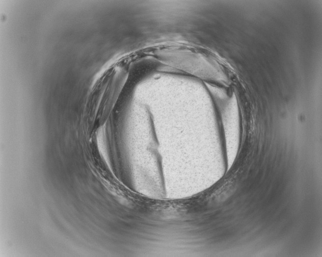 X0000054461400200508191650