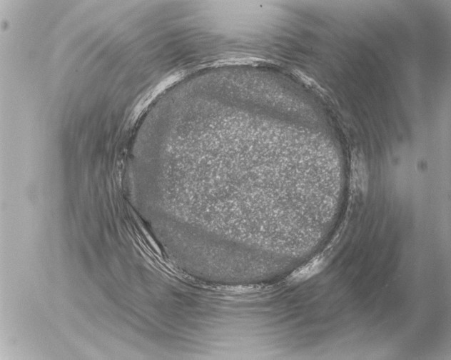 X0000054461401200508191650