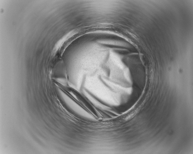 X0000054461402200508191650