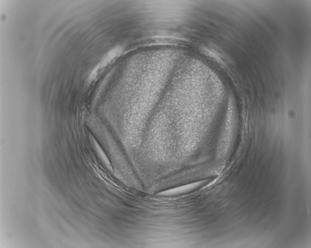 X0000054461403200508191650