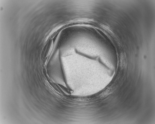 X0000054461404200508191650