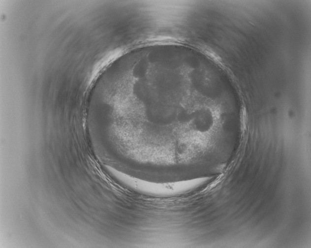 X0000054461405200508191650