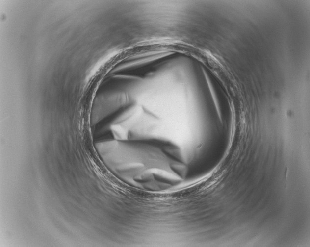 X0000054461406200508191650