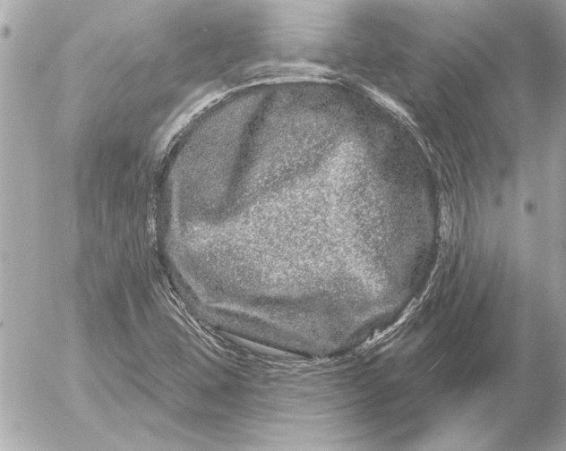 X0000054461407200508191650