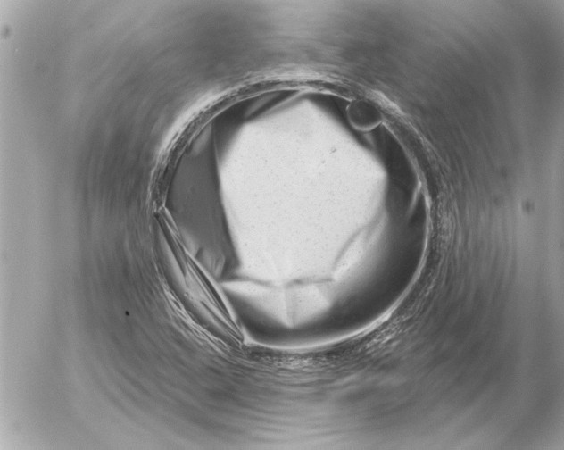 X0000054461408200508191650