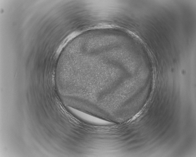 X0000054461409200508191651