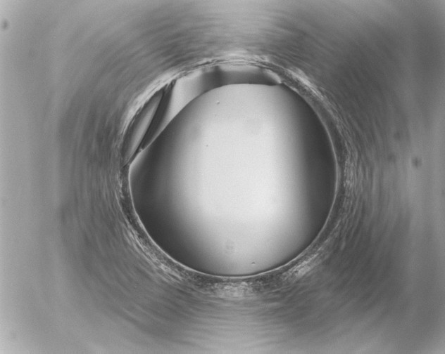 X0000054461410200508191651