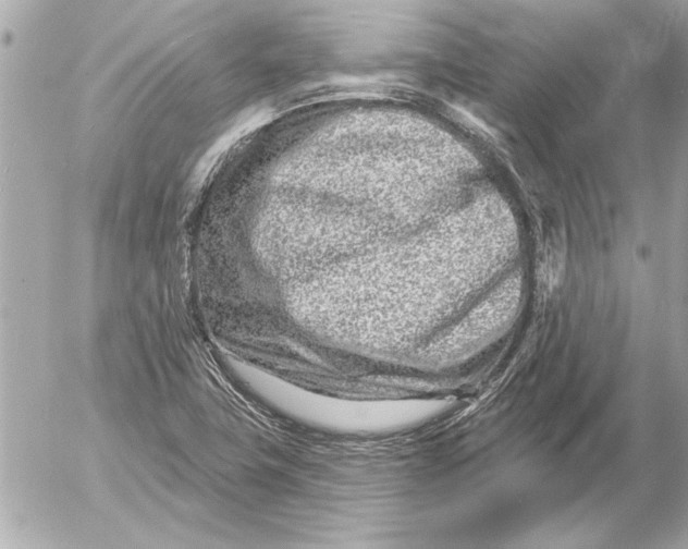 X0000054461411200508191651