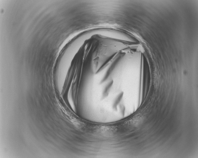 X0000054461412200508191651