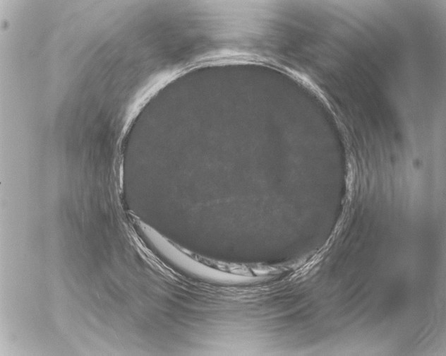 X0000054461413200508191651