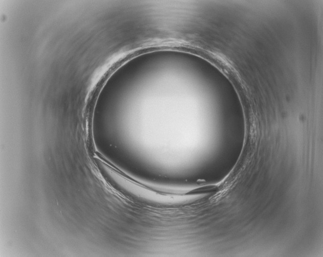 X0000054461414200508191651