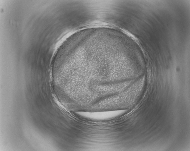 X0000054461415200508191651