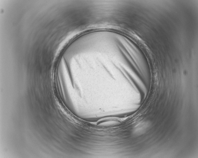 X0000054461416200508191651