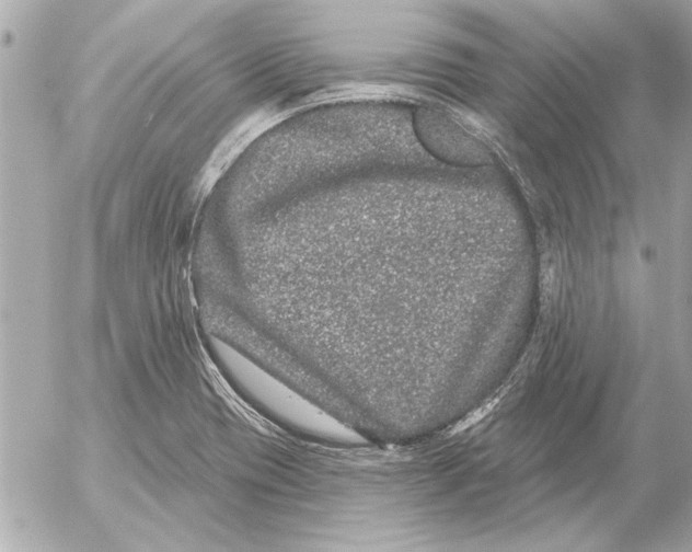 X0000054461417200508191651