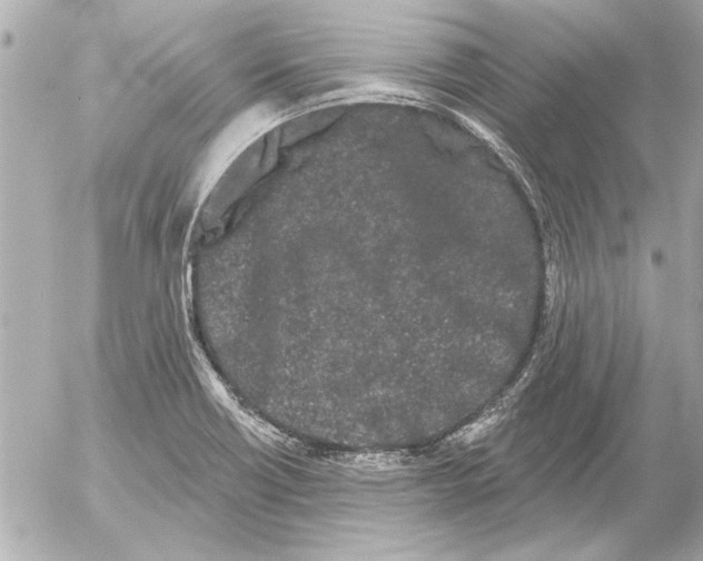 X0000054461418200508191651