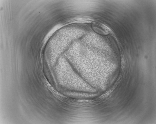 X0000054461419200508191651