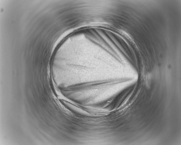 X0000054461420200508191651