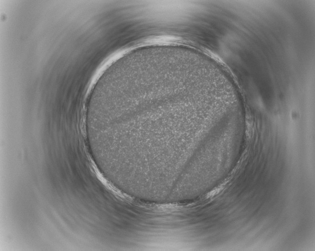 X0000054461421200508191651