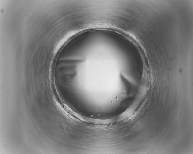 X0000054461422200508191651