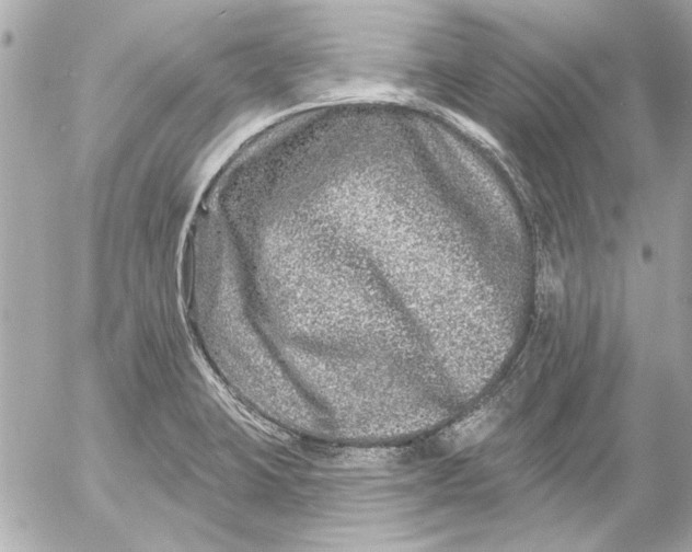 X0000054461423200508191651