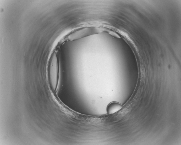 X0000054461424200508191651