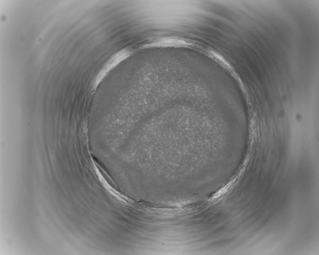 X0000054461425200508191651