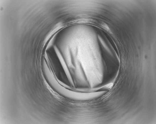 X0000054461426200508191651