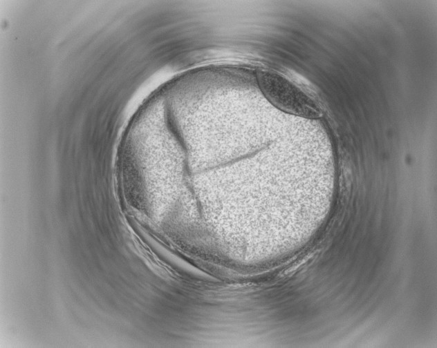 X0000054461427200508191651