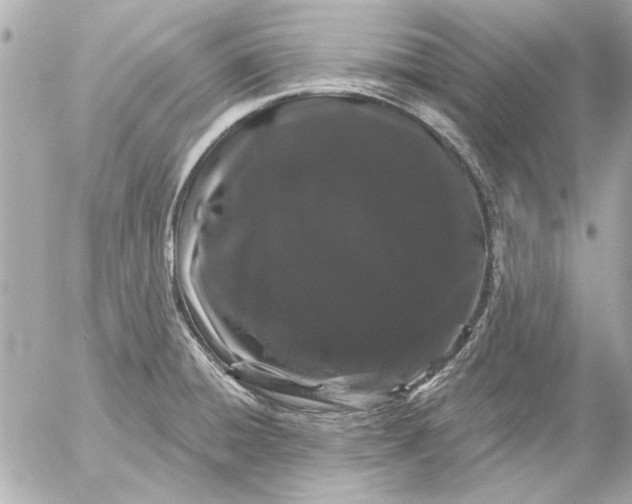 X0000054461428200508191651