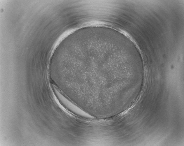 X0000054461429200508191651