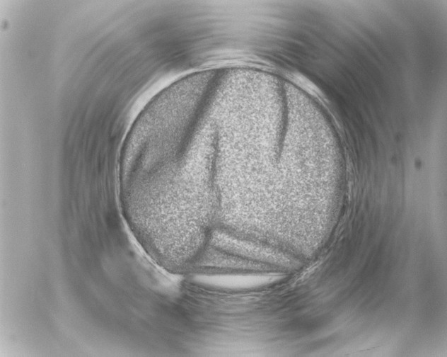 X0000054461431200508191651