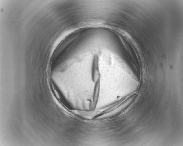 X0000054461432200508191651