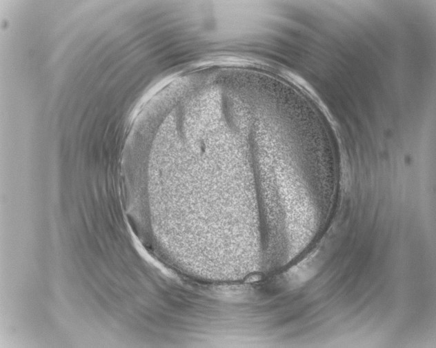 X0000054461433200508191651