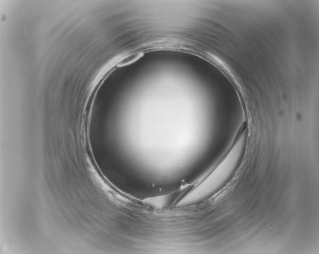 X0000054461434200508191651