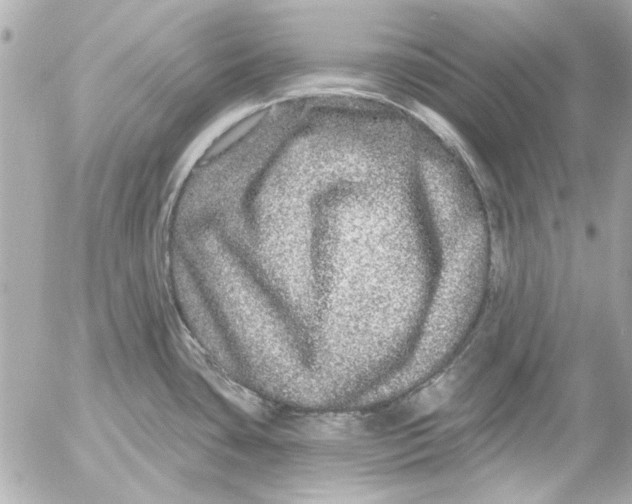 X0000054461435200508191651