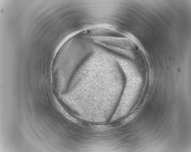 X0000054461436200508191651