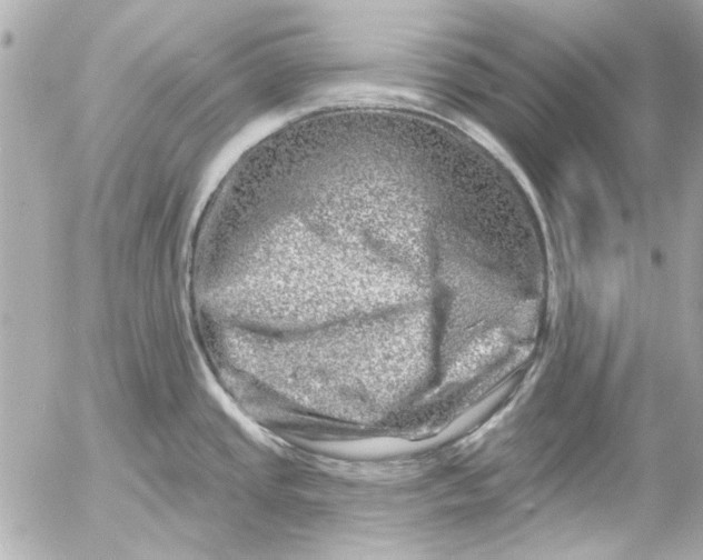 X0000054461437200508191651