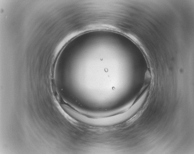 X0000054461438200508191651