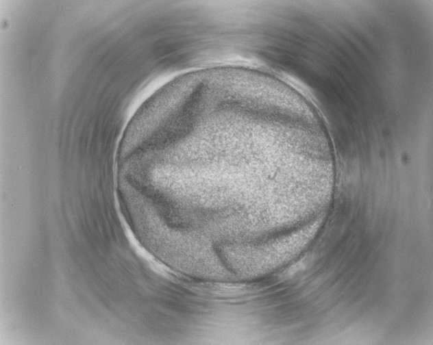 X0000054461439200508191651