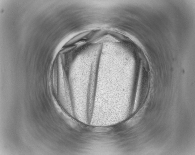 X0000054461440200508191651