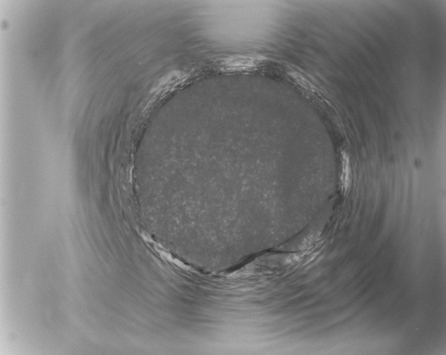 X0000054461441200508191650