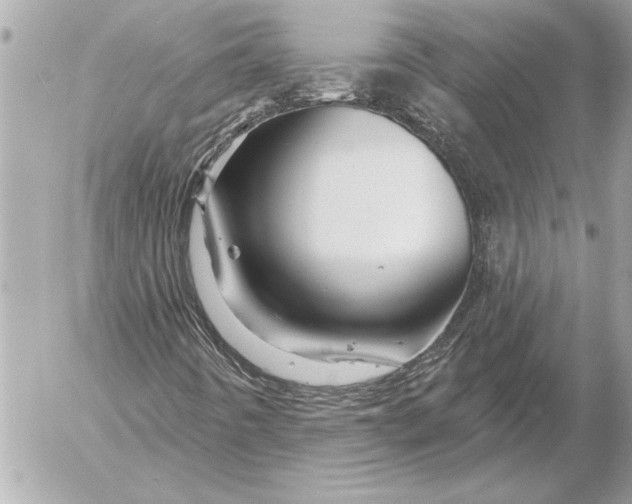 X0000054461442200508191650