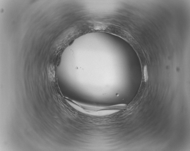 X0000054461443200508191650